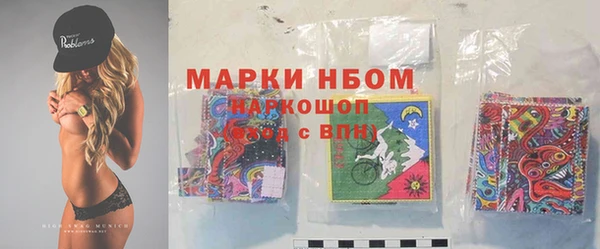 дмт Нягань