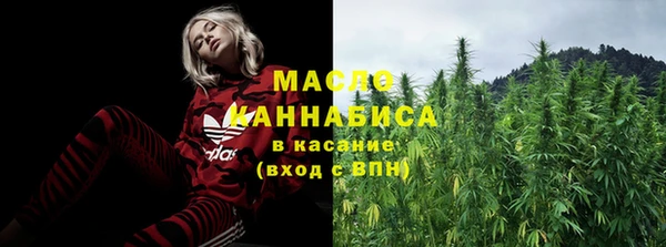 дмт Нягань