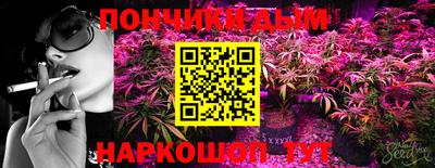 индика Абакан