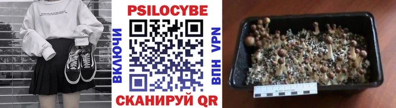 Псилоцибиновые грибы ЛСД  наркота  Великий Устюг 