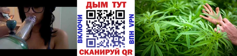 Бошки марихуана планчик Великий Устюг